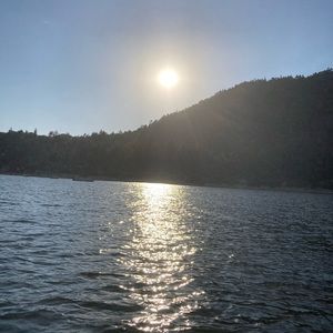 Meet your Posher, Sallie